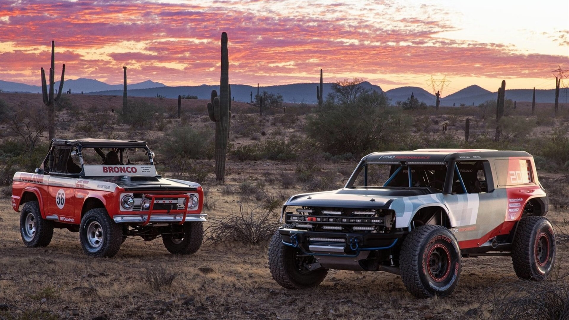 “天气挑战:暴雨雪雾的极限考验”,暴雨气象预报