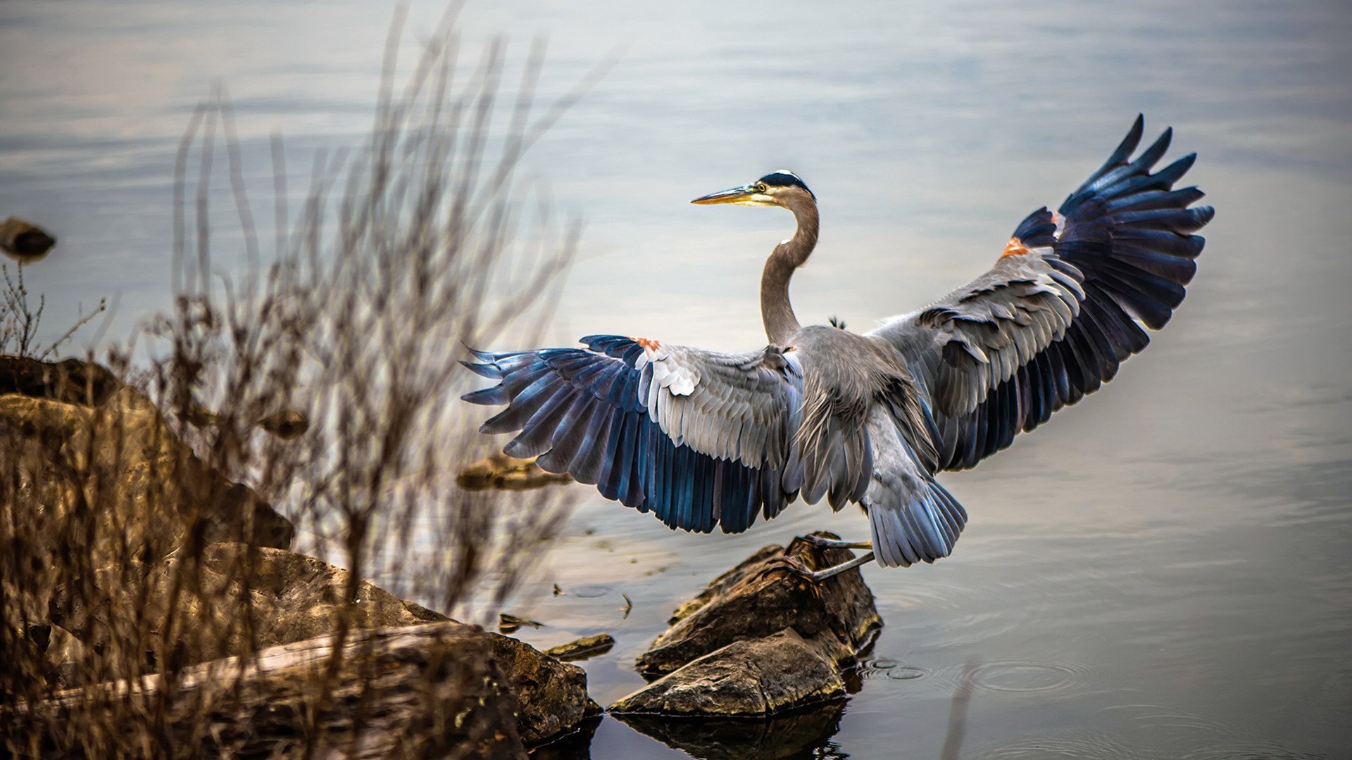 “足球+文化+旅游”产业融合创新成果在行业内不断深化，行业活力持续释放