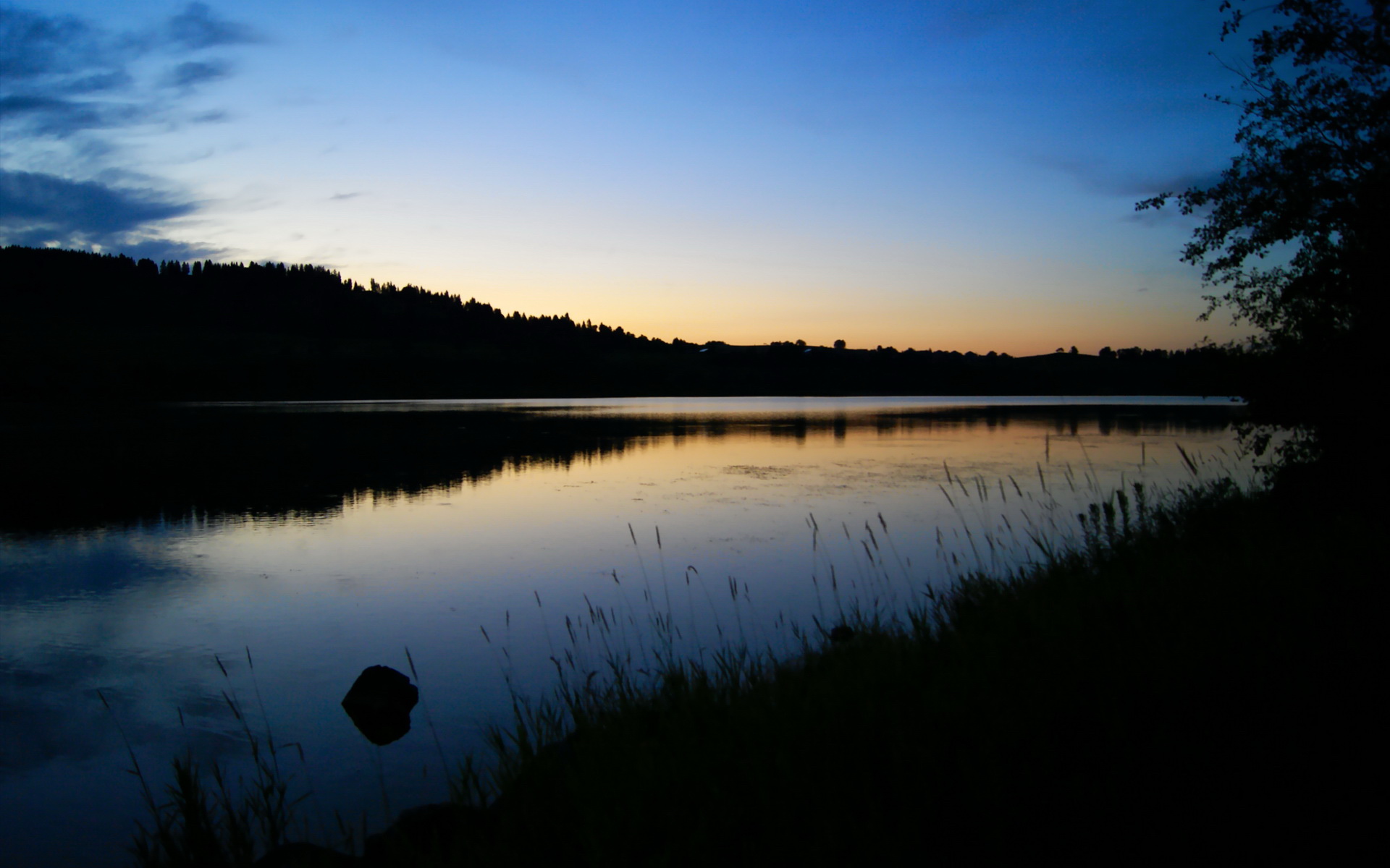 《CS_GO年度盛典,天王对决战火连天》,will,怎么念