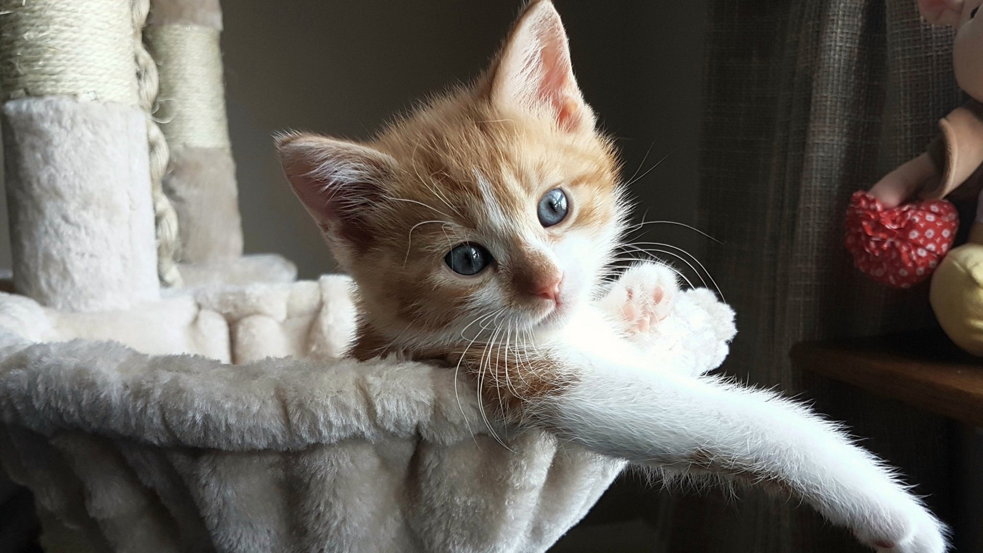 【粉丝狂欢】现场观众的热情更添比赛火热氛围，粉丝活动