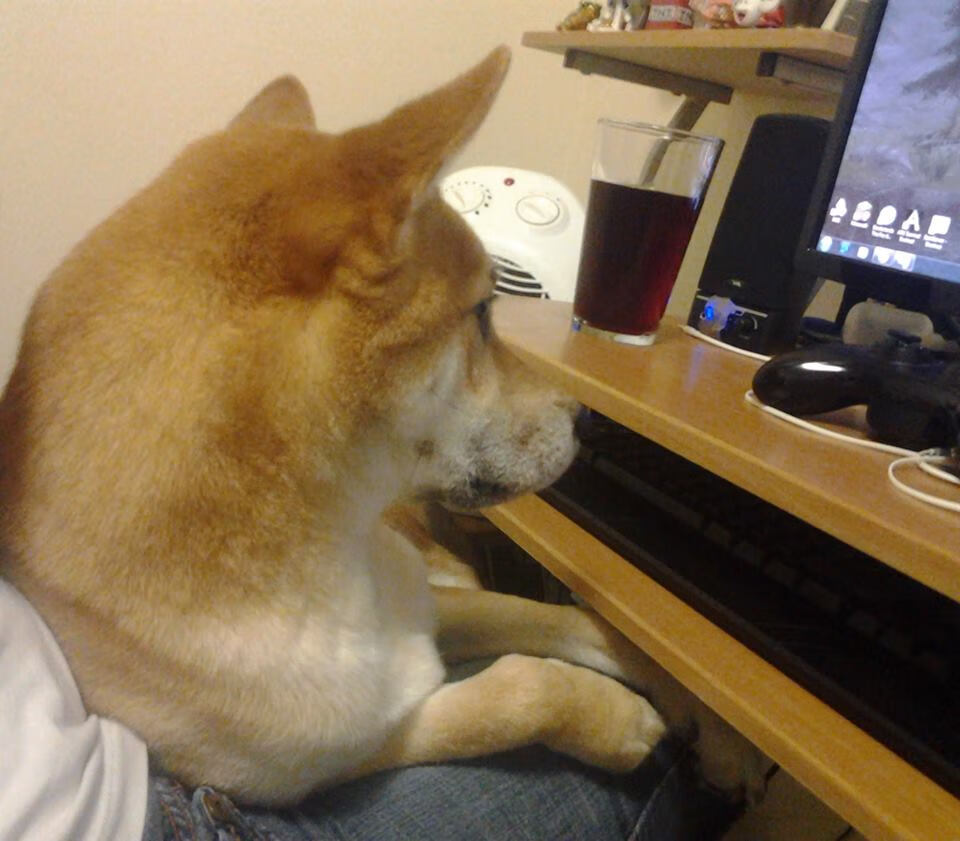 【终极对决】两大劲旅季后赛前瞻,终极对决第二季