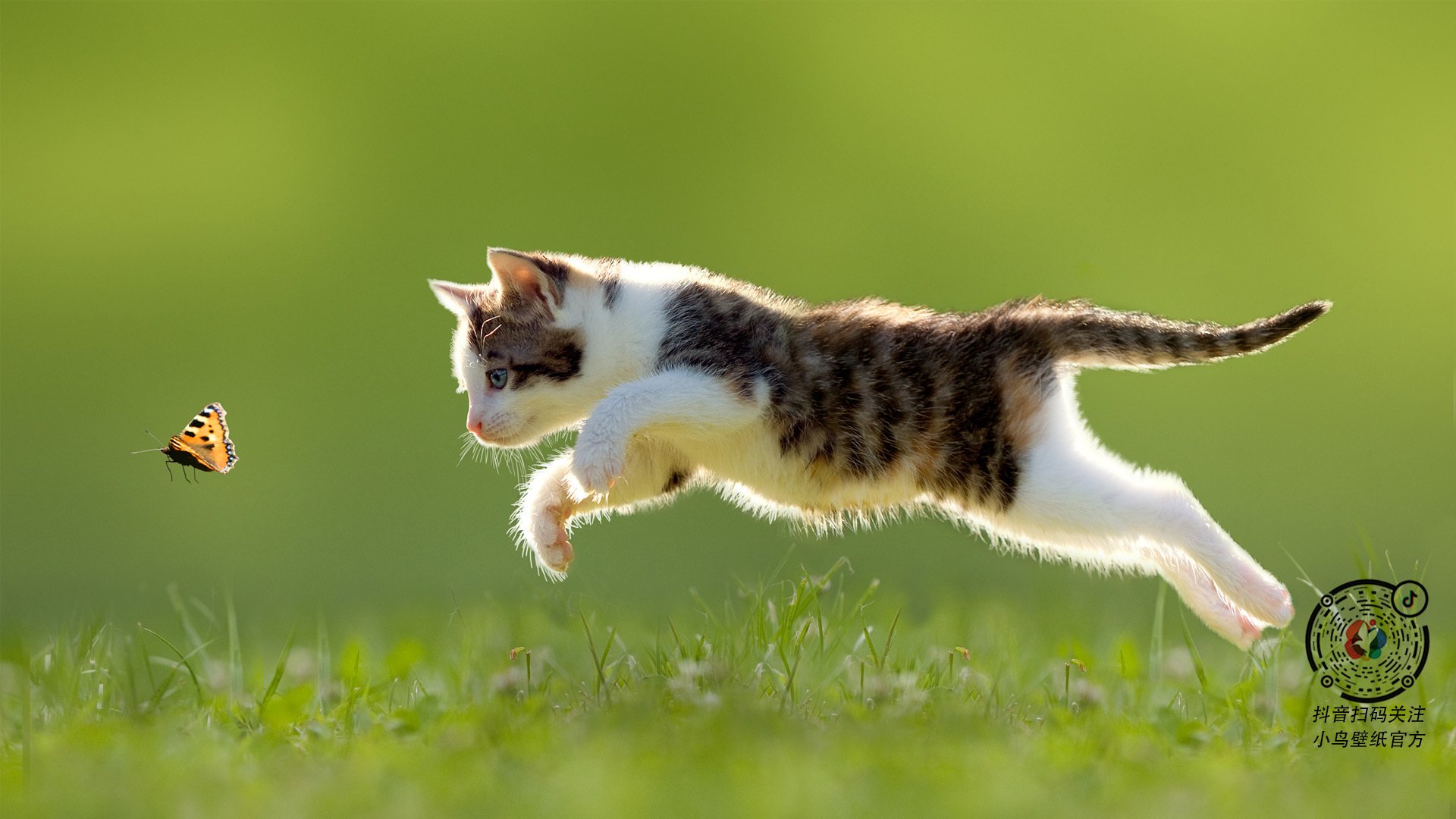 云端电竞大会隆重举行，技术革新推动行业转型，云电竞是什么