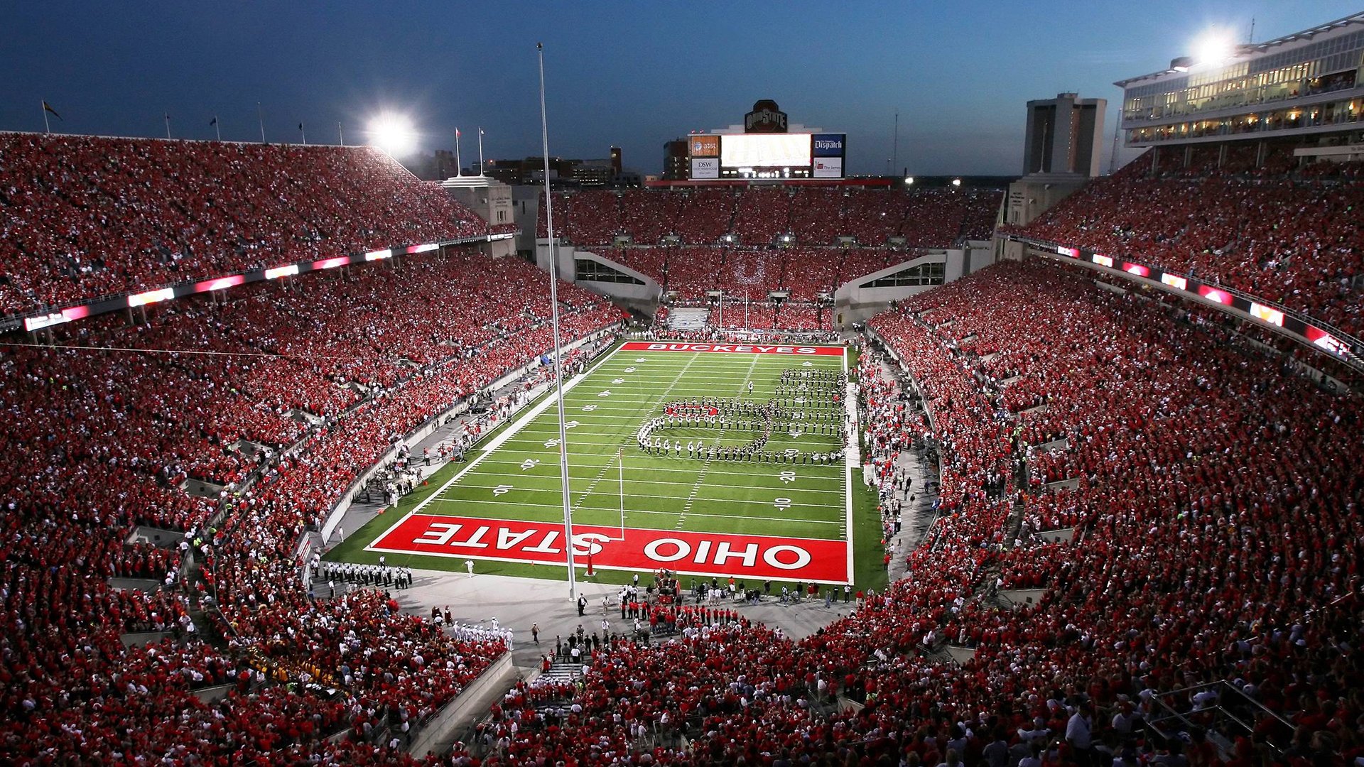 “南非羚羊队的未来希望:诺克·达维德·彼得森的飞速成长”