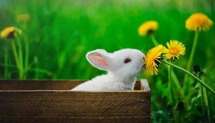 九游娱乐官网 (jiuyou)-国内外电竞赛事合作持续深化，行业格局调整，国外电竞比赛