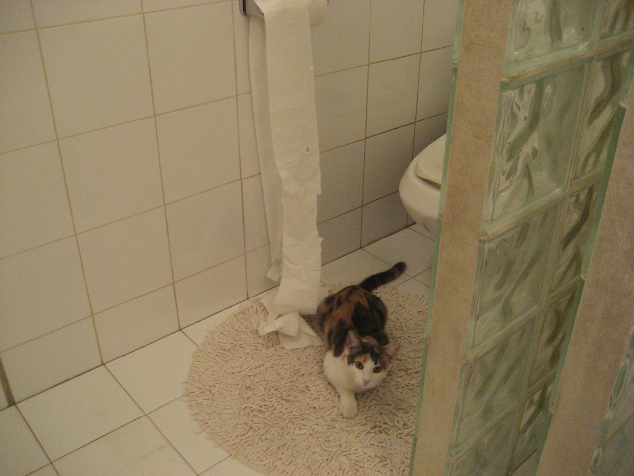 “体育+文化”创新模式：青少年篮球节在四川启动一系列文体活动