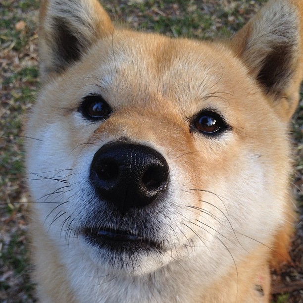 “体育总局支持青少年足球赛事，全国掀起足球热潮”，全国青少年足球工作领导小组办公室