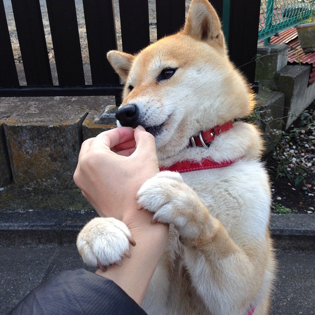 九游sports-“未来中国足球领军人才选拔赛盛大启动，期待未来新星”，中国未来足球天才