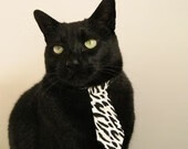 “极限漂移：高速弯道中的速度与美学”，弯道漂移超车