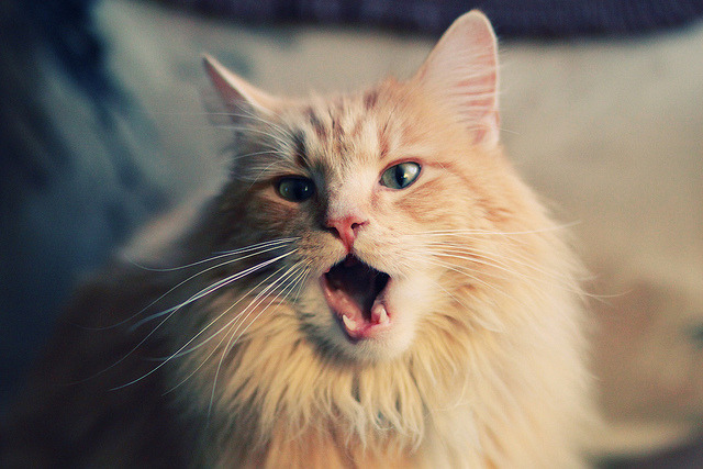 九游电脑版-“科目三”广场舞在广西大化县火爆出圈，广西科目三考试最新视频