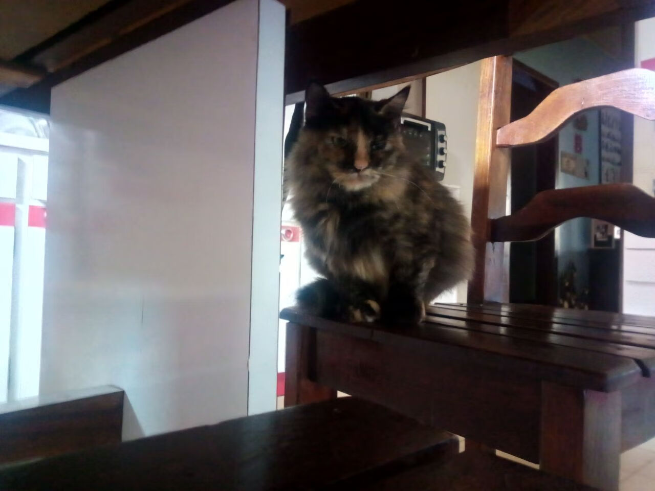 九游app下载中心-“英超锋线火热，球员爆发助球队前行”，英超 前瞻