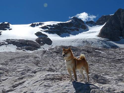 “青春激扬”青少年篮球青春盛典在杭州热烈举行,弘扬奋斗精神