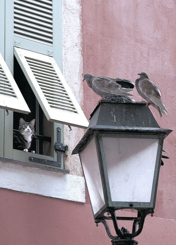 九游网-“青春燃梦”青少年篮球系列公益展在西安火热进行，弘扬体育精神