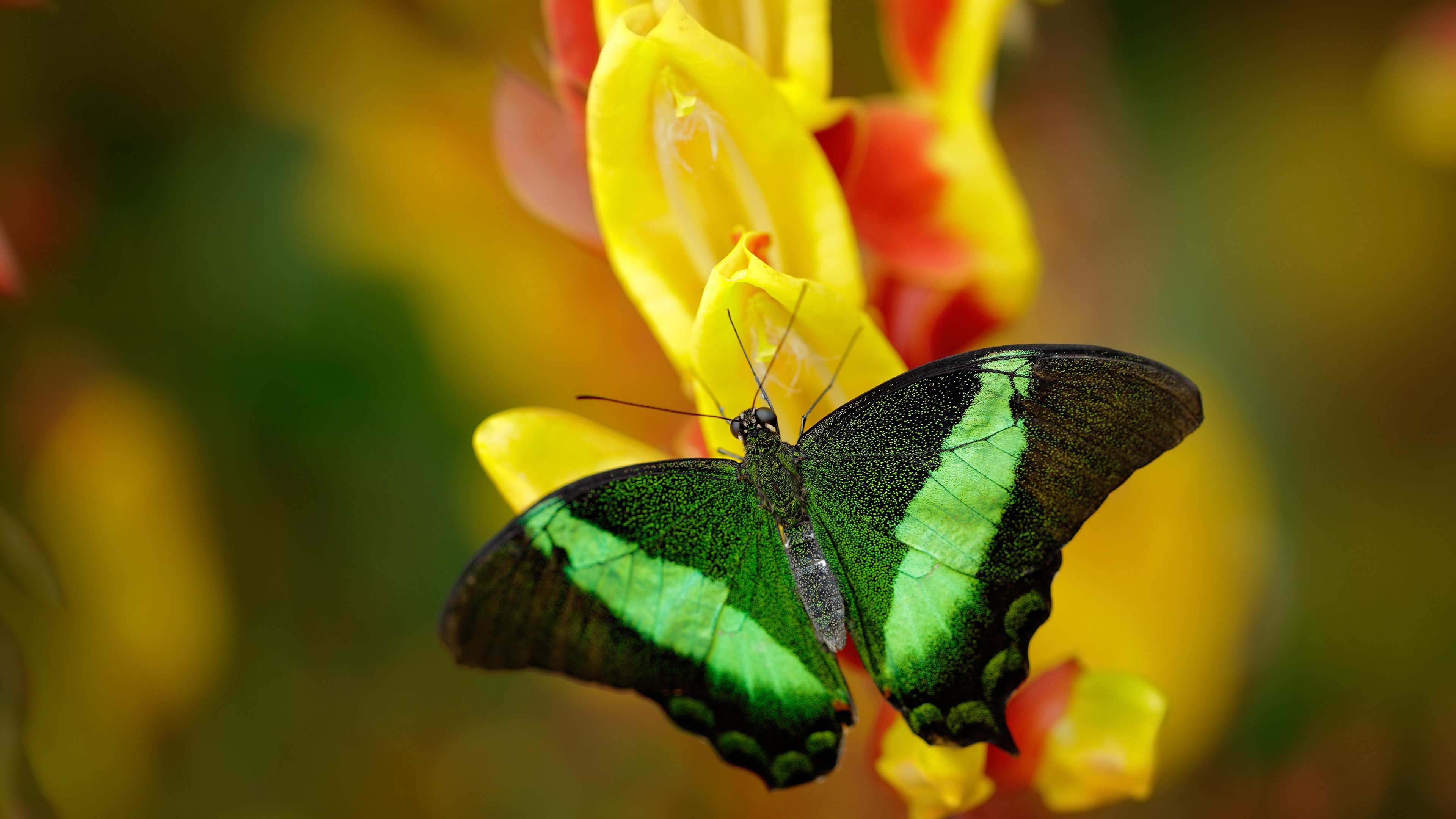 《CS_GO奥运资格赛,顶级战队全面激战》,csgo a队冠军