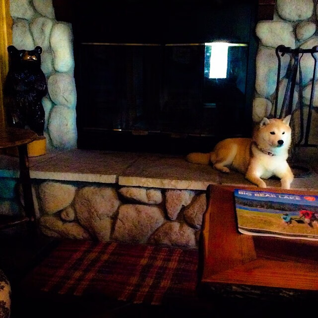 《传奇再续：老牌战队迎来新挑战》，传奇再现最新章节