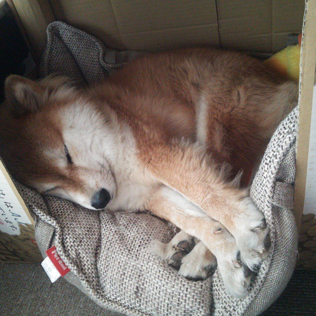 【冠军养成】马克·塞尔比：坚韧不拔的复苏之路，马克塞尔比历史地位