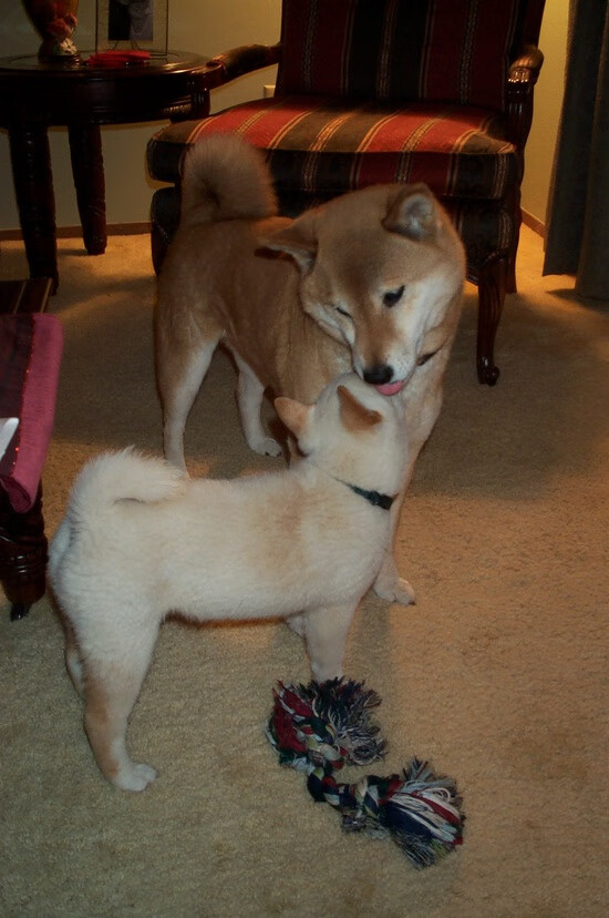 【犯规警示】比赛中最容易忽视的犯规行为分析，犯规程度