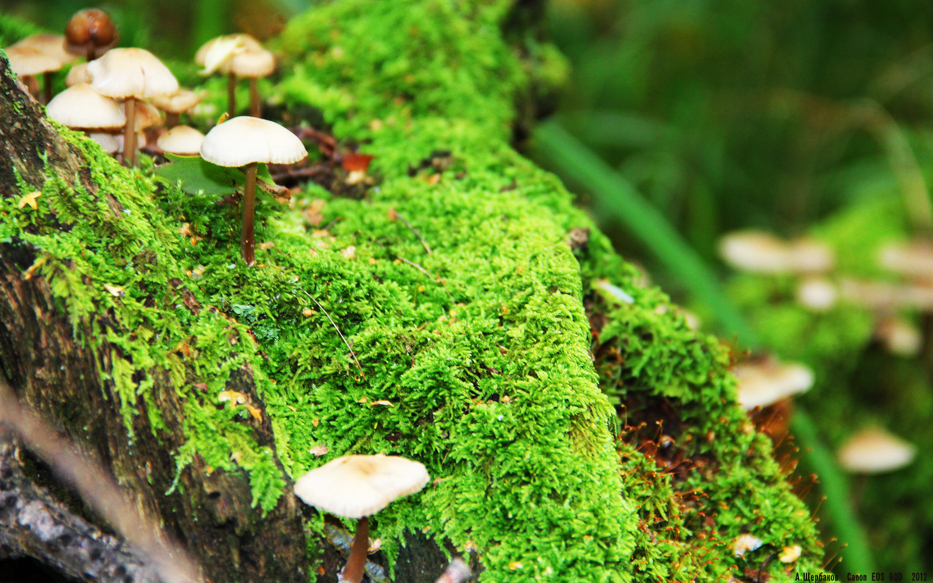 专题访谈:冠军背后的故事,冠军访谈节目