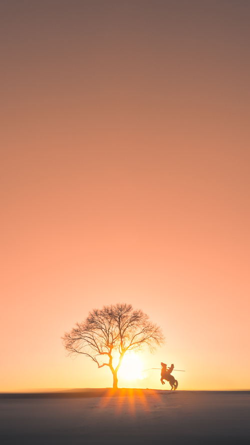 中国青少年篮球锦标赛赛场火热，发现潜力无限，全国青少年篮球俱乐部冠军联赛