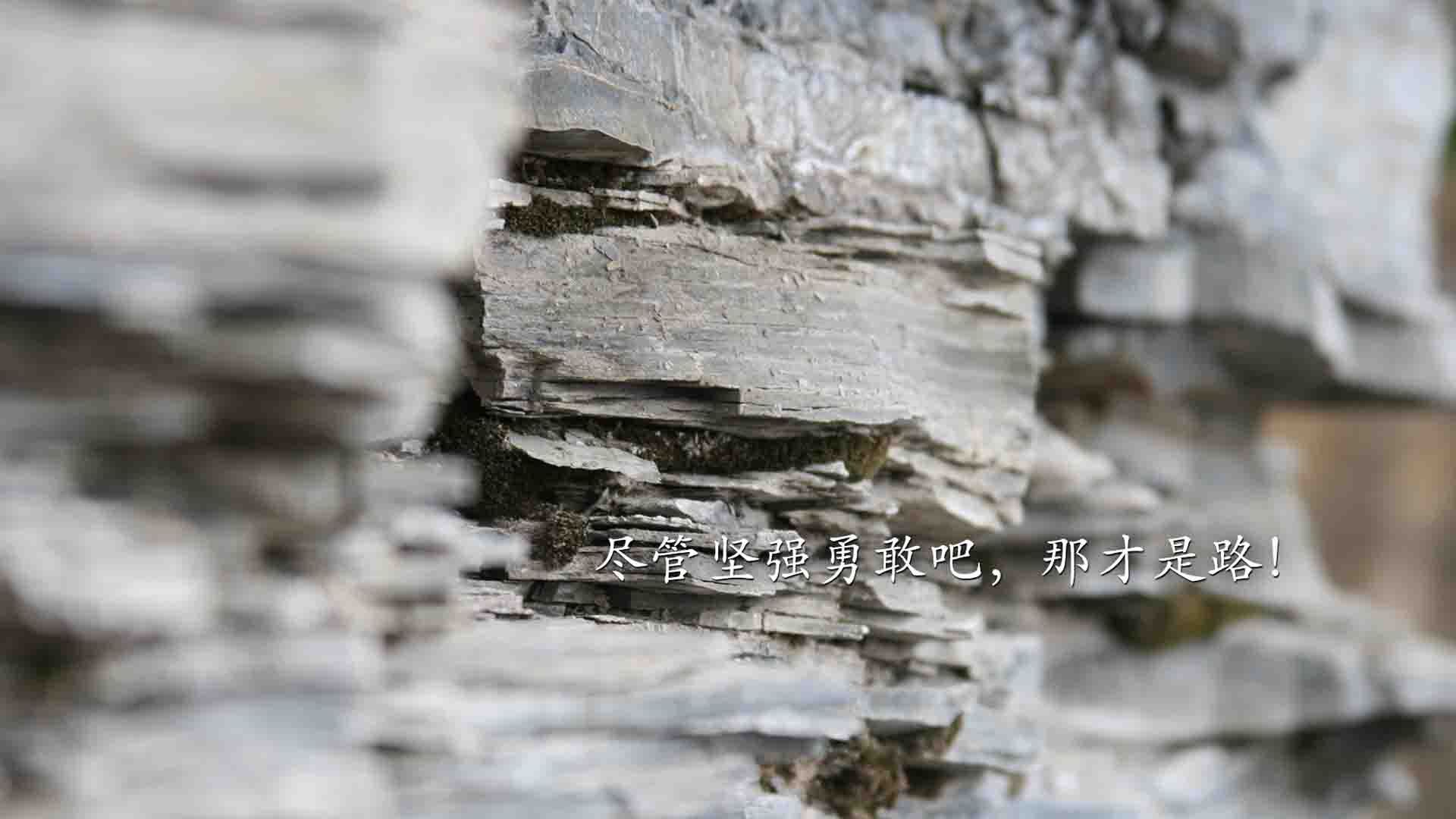 以“青训+产业+科技”为核心的行业高质量发展趋势逐步显现，青训体系