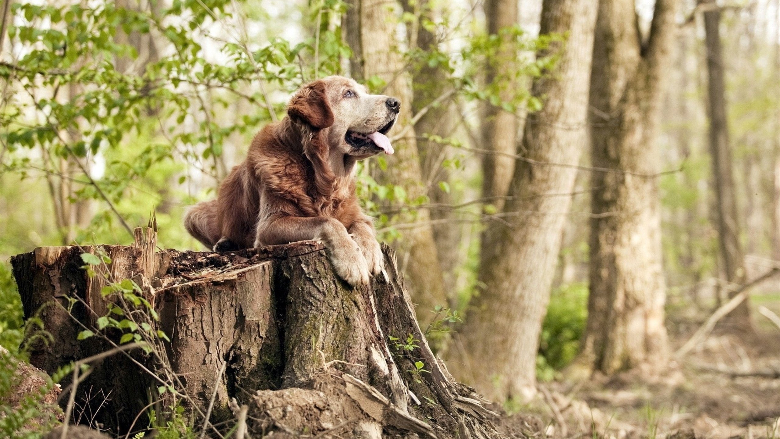 以球会友：足球公益赛事盛大举行，以球会友 以赛传情