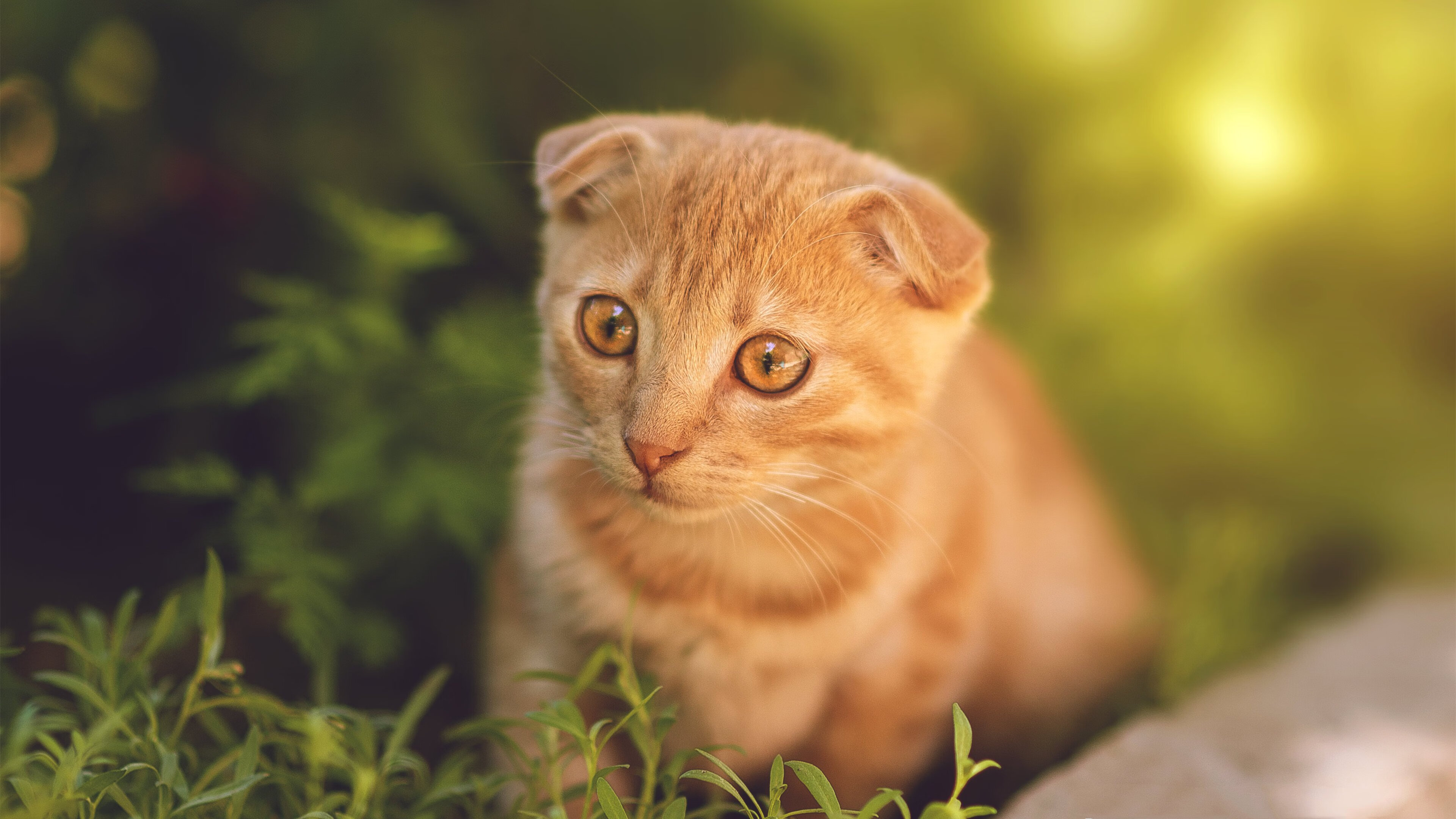 公牛队发布怀旧球衣致敬90年代三连冠王朝，公牛队员名单1998