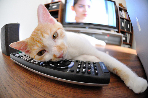 凯尔特人“新核”塔图姆，成为联盟最令人期待的年轻巨星！，凯尔特人队塔图姆