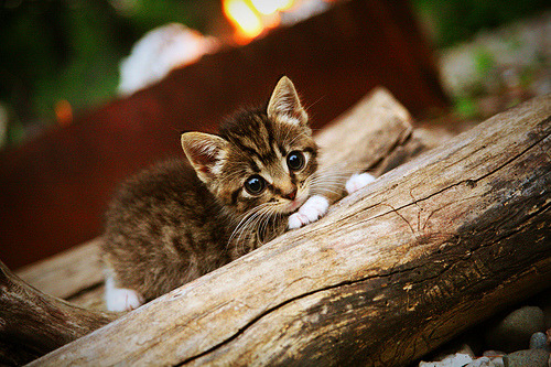 九游（jiuyou.com）游戏-利物浦高压战术屡屡奏效，连续5场零封，利物浦 战术